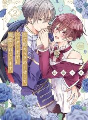 Hoàng Tử Hoàn Hảo Yêu Tôi, Đối Thủ Của Ngài Ấy?!