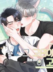 Không Phải Con Mèo Đó, Mà Là Con Mèo Này Này!