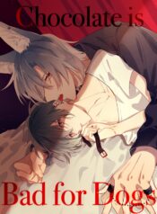 Sôcôla Có Hại Cho Chó