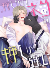 Tình Yêu Của Mèo Rất Lớn