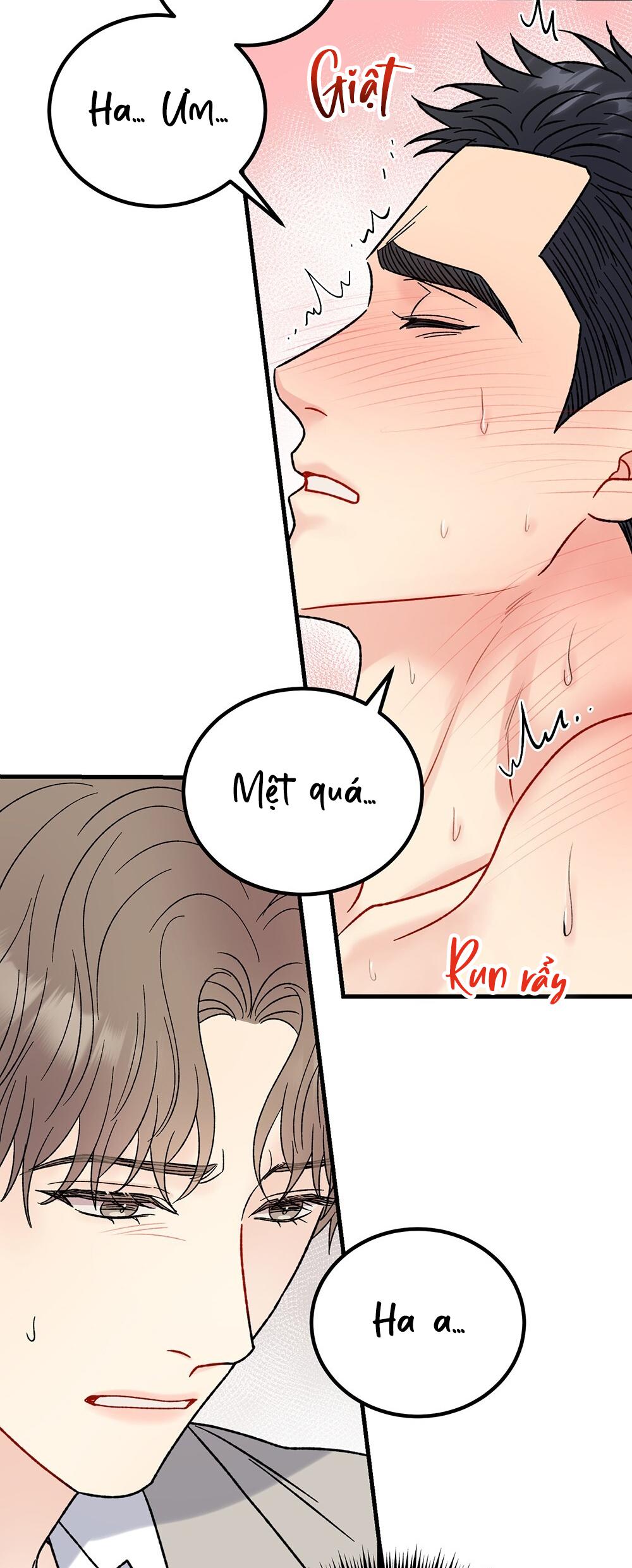 CẬU KHÔNG PHẢI LÀ GU CỦA TÔI - Chap 43