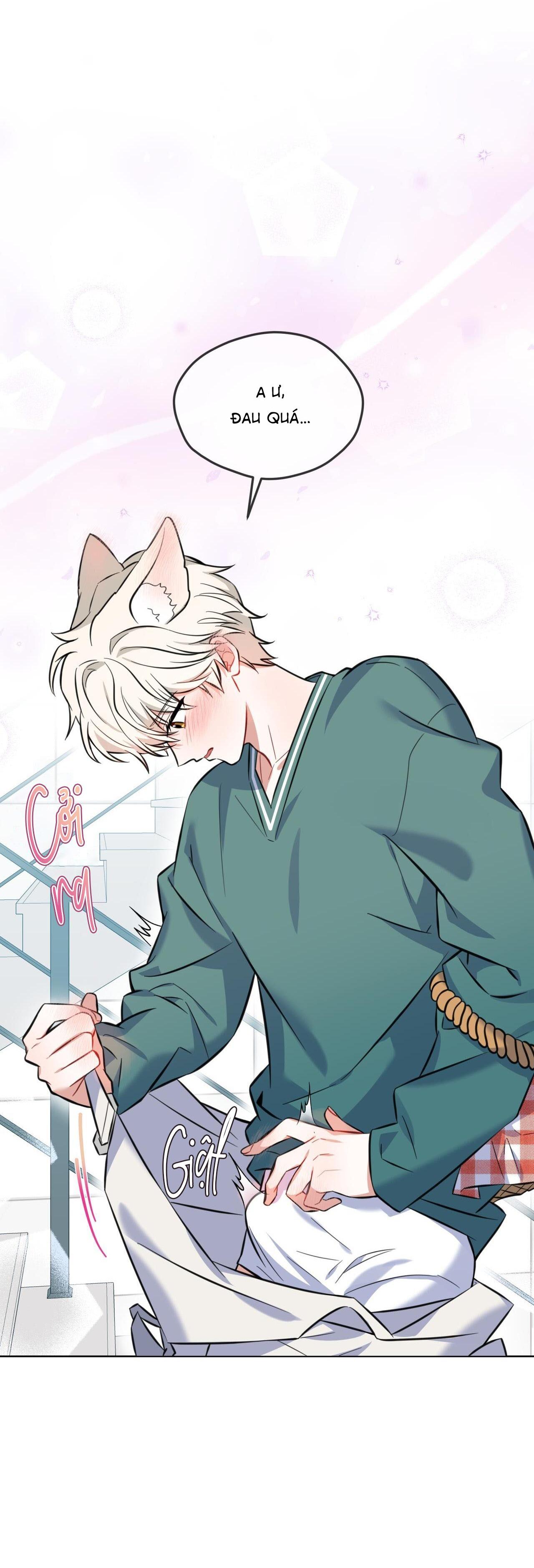 |DROP| Tiệm đồ uống của cáo Flynn - Chap 2