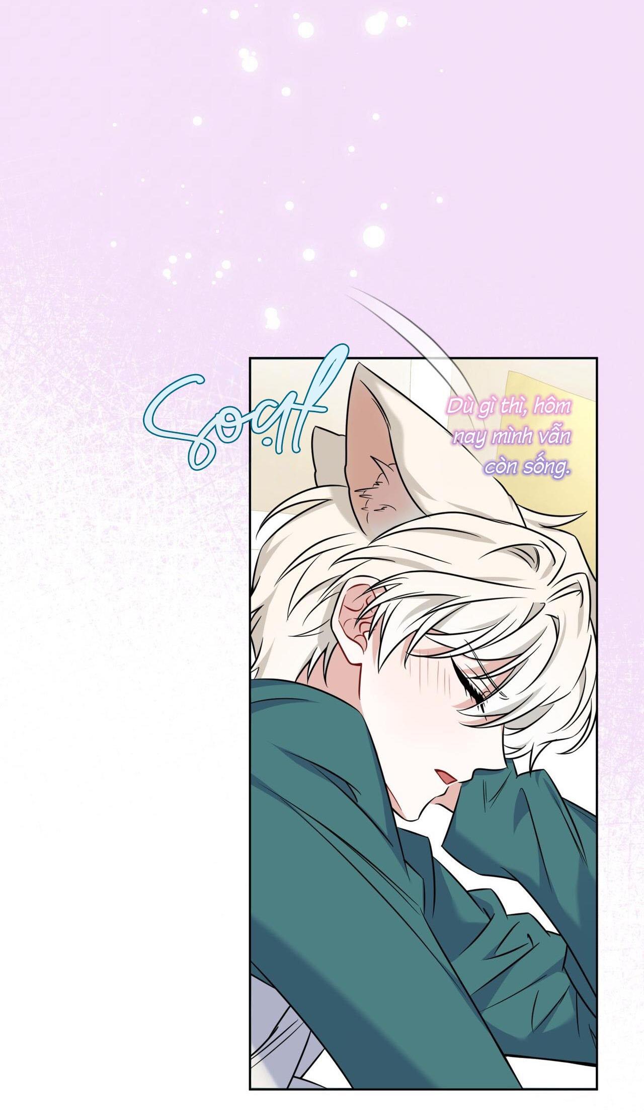 |DROP| Tiệm đồ uống của cáo Flynn - Chap 6