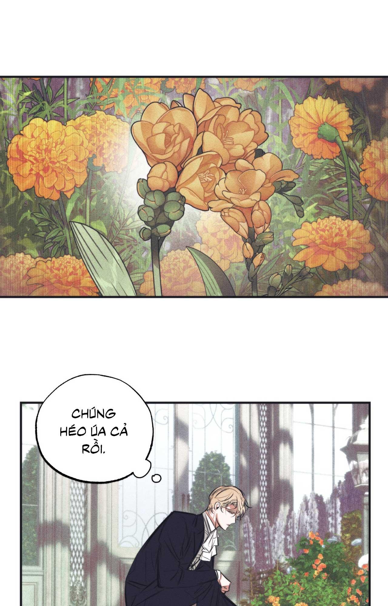 KHU VƯỜN CỦA ESTHER - Chap 4