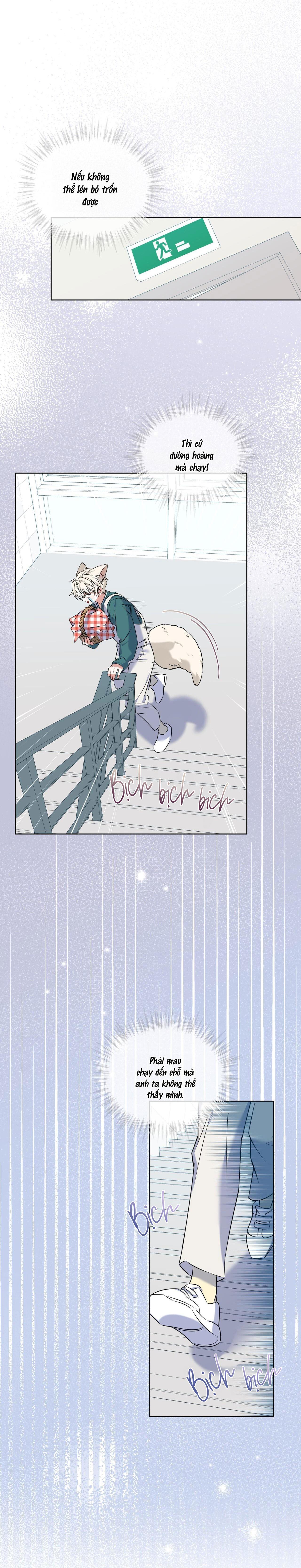 |DROP| Tiệm đồ uống của cáo Flynn - Chap 4