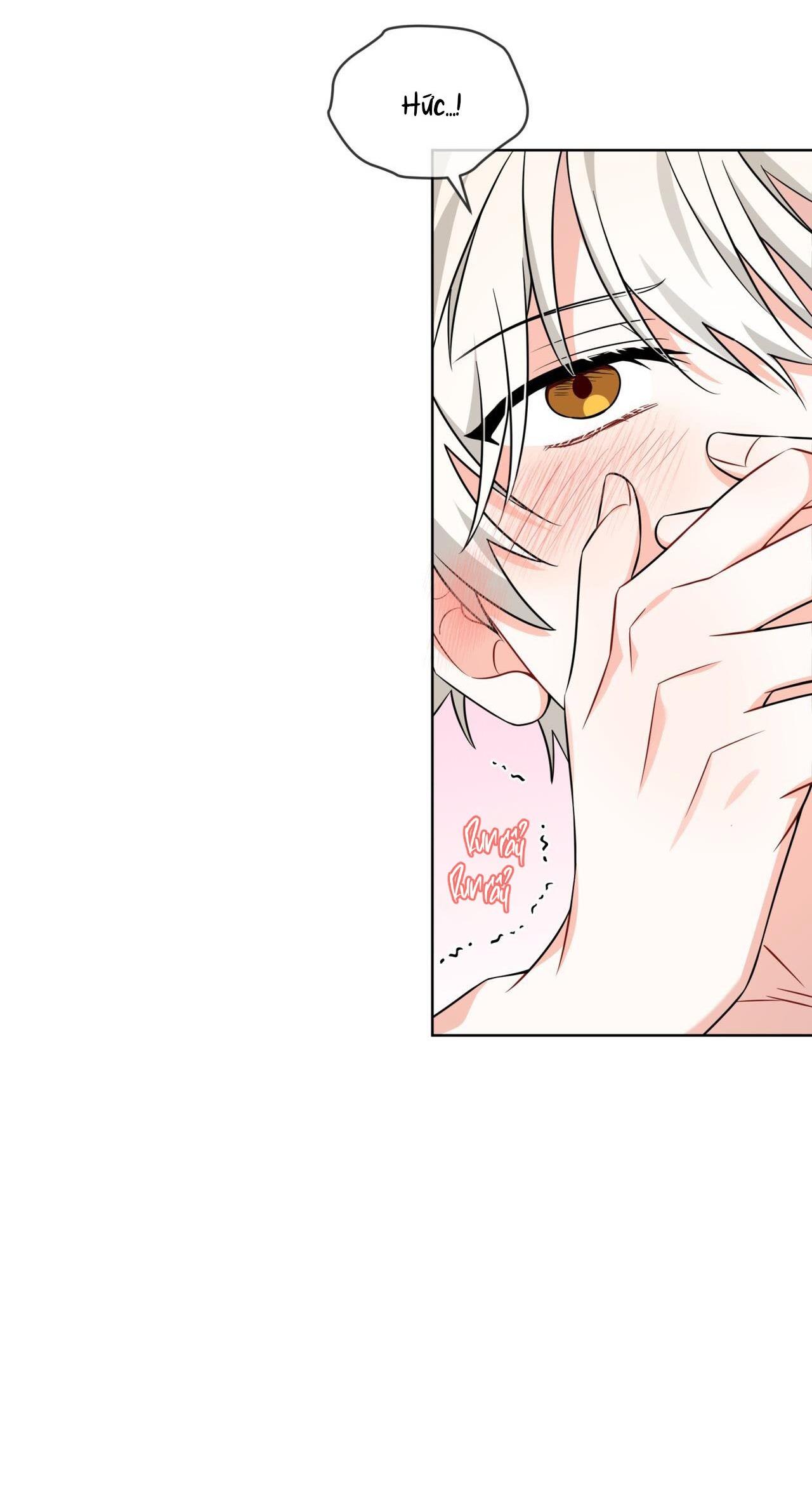 |DROP| Tiệm đồ uống của cáo Flynn - Chap 8