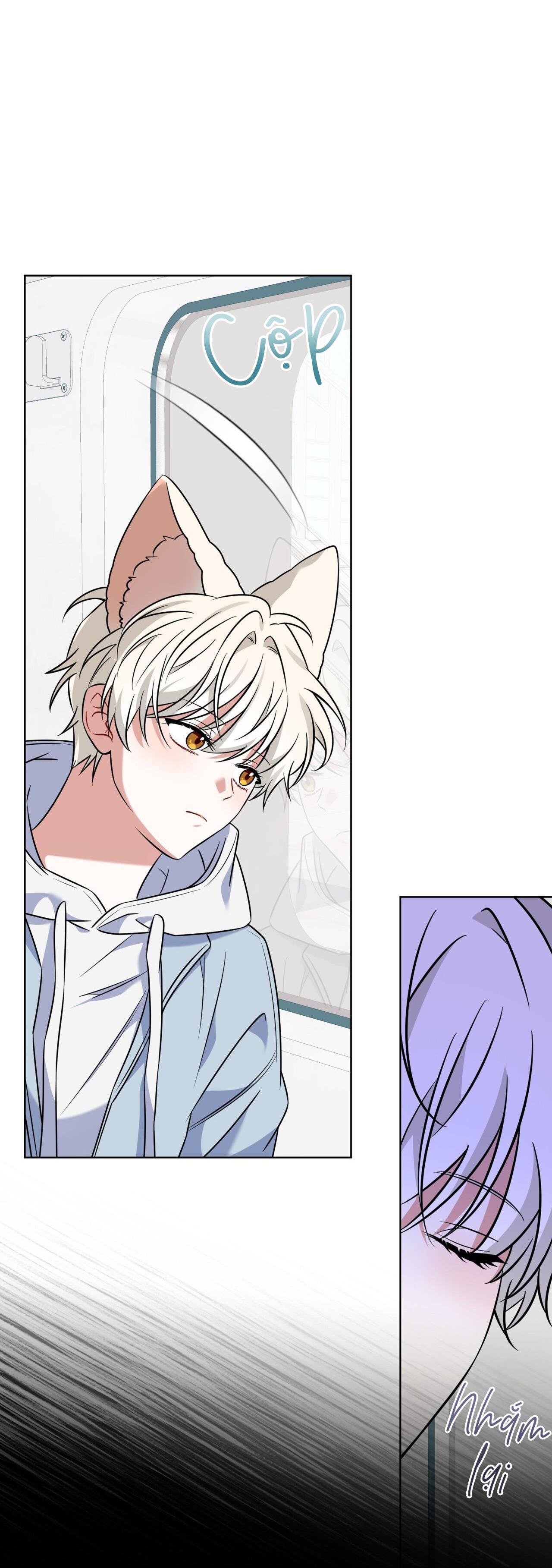 |DROP| Tiệm đồ uống của cáo Flynn - Chap 13