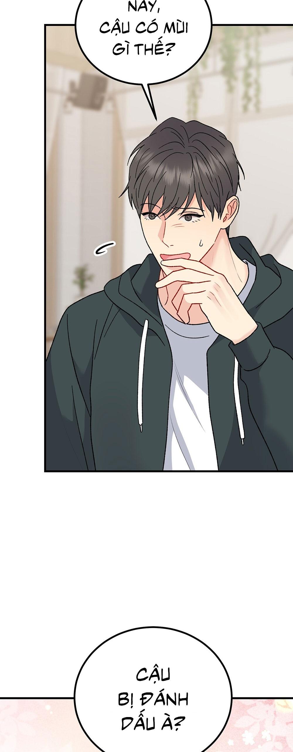 CẬU KHÔNG PHẢI LÀ GU CỦA TÔI - Chap 41