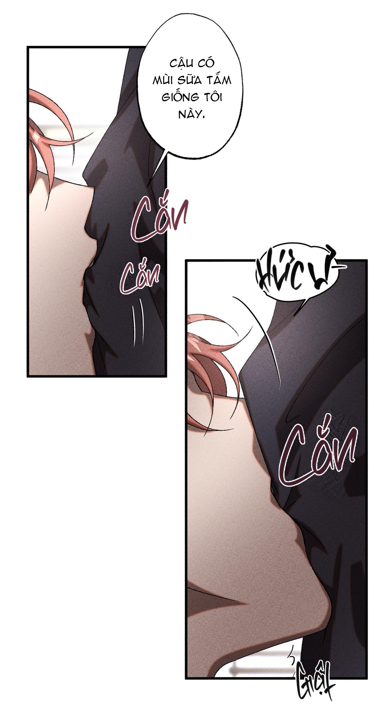 Cash Or Credit - Chap 13