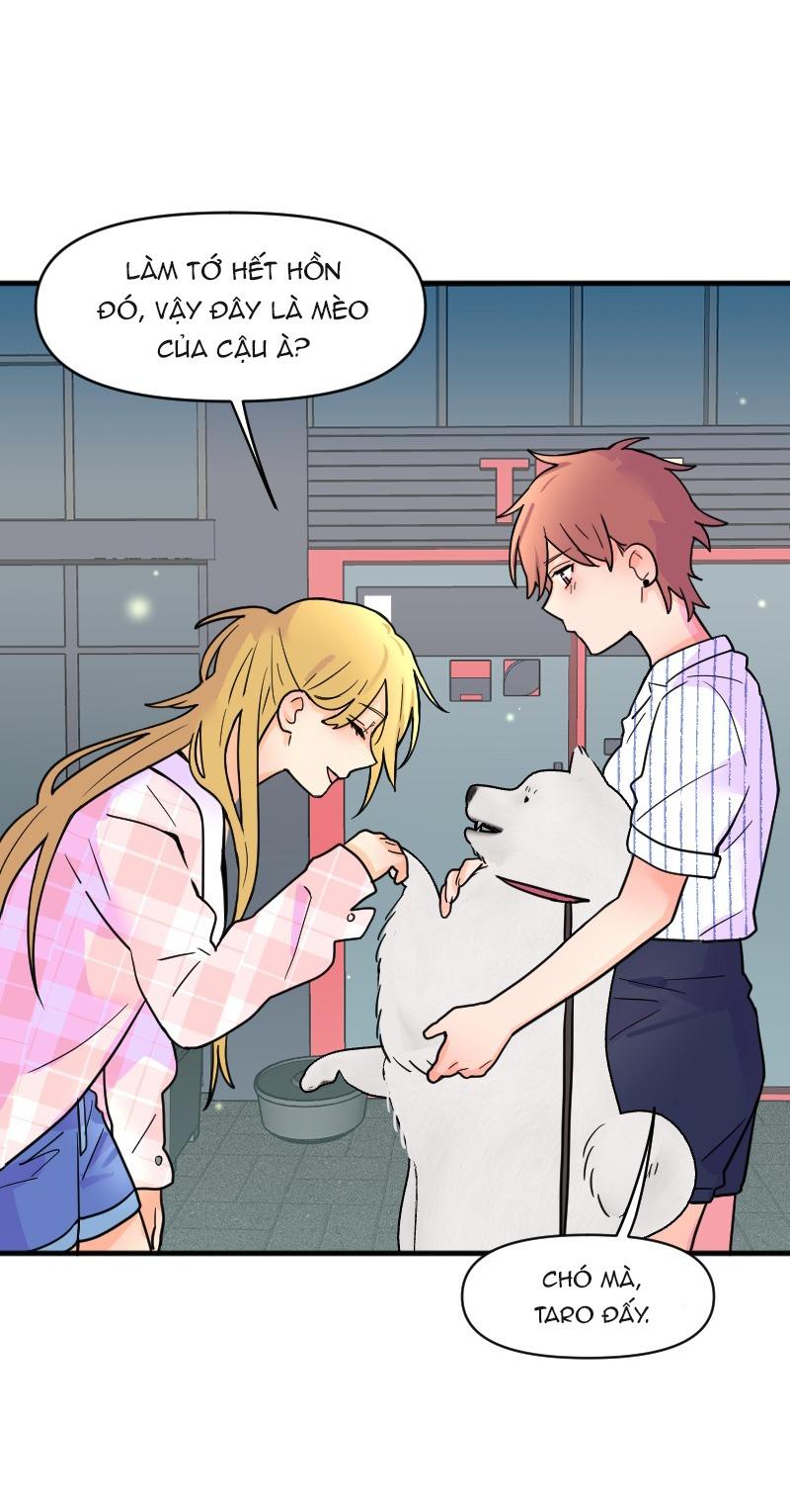 Truyện Ngôn Nhưng Không Ngôn Lắm - Chap 69