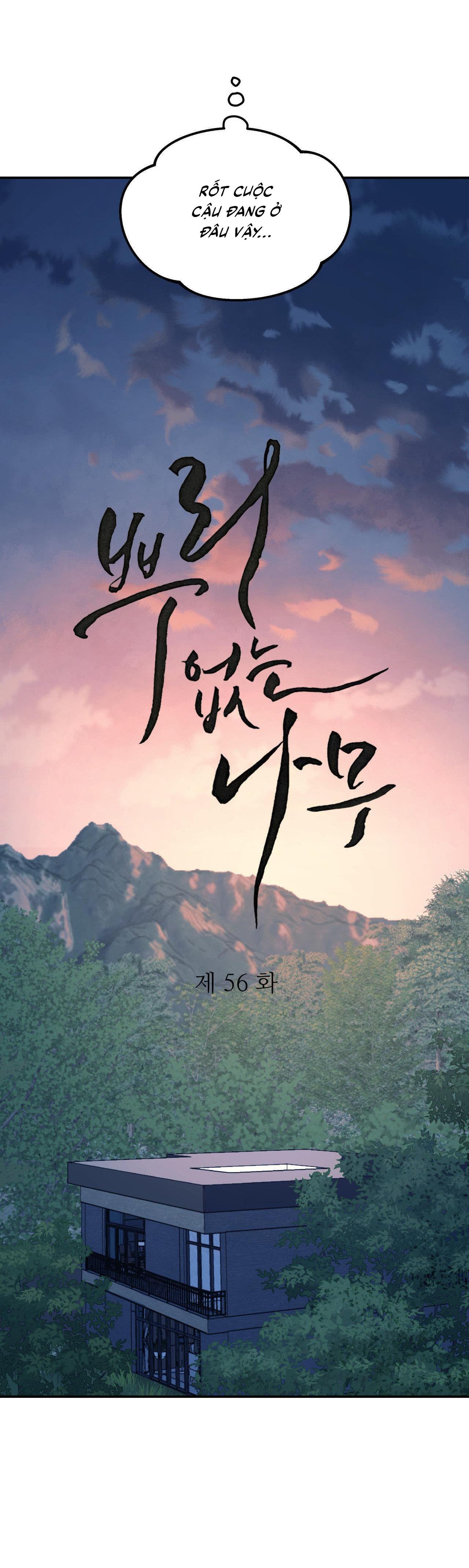 (CBunu) Cây Không Có Rễ - Chap 56