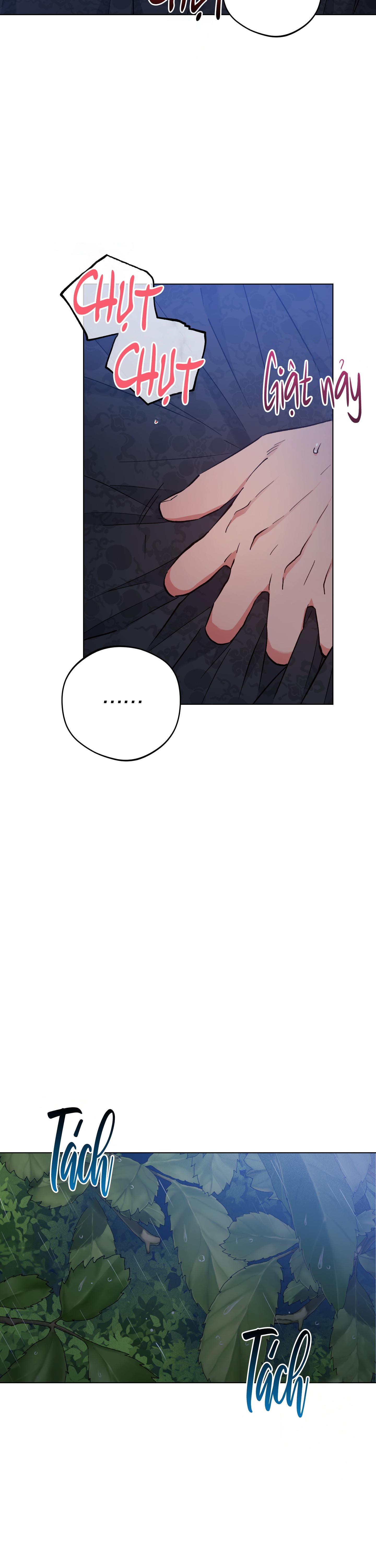 BÌNH MINH CỦA RỒNG - Chap 52