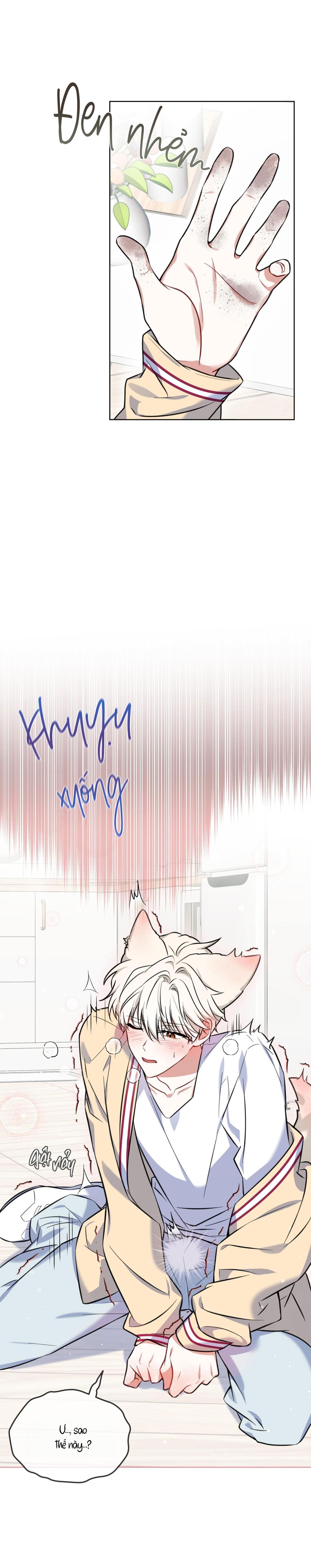 |DROP| Tiệm đồ uống của cáo Flynn - Chap 2