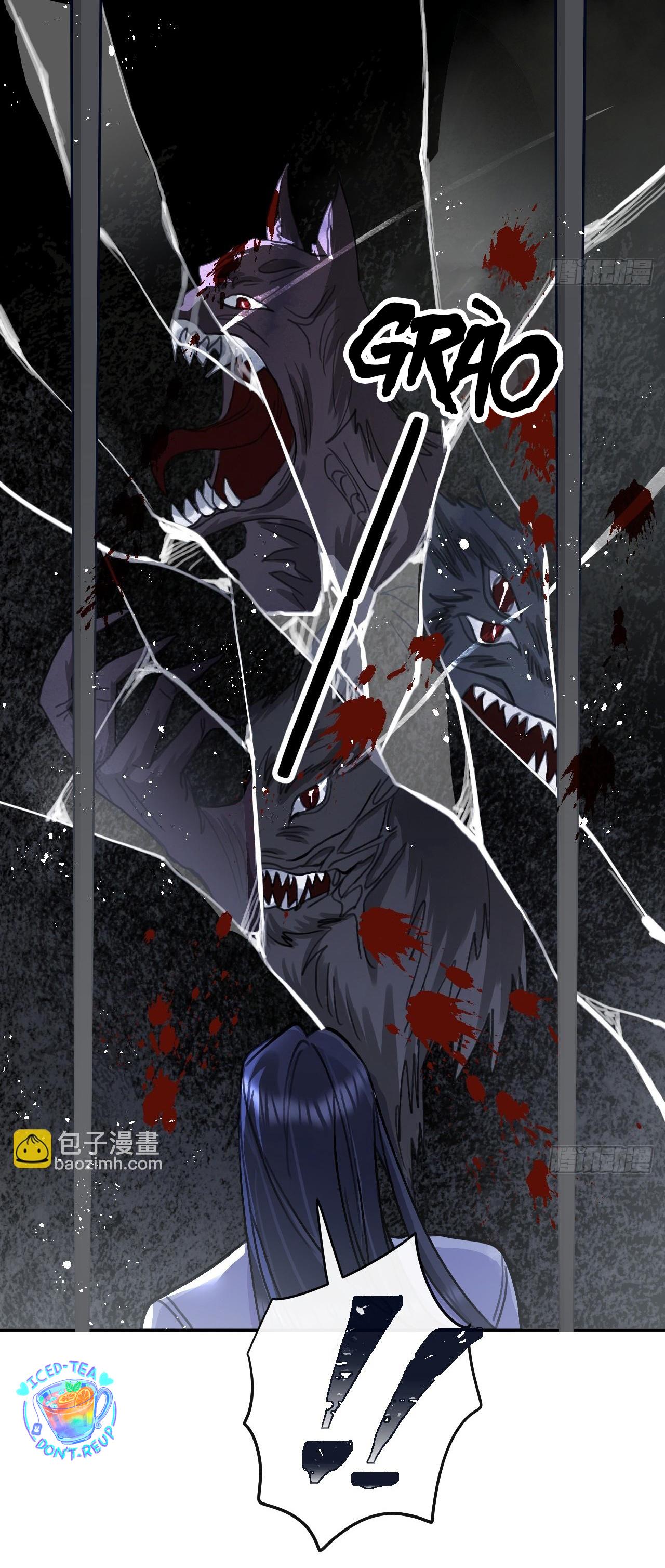 Lang Sói Thượng Khẩu - Chap 74