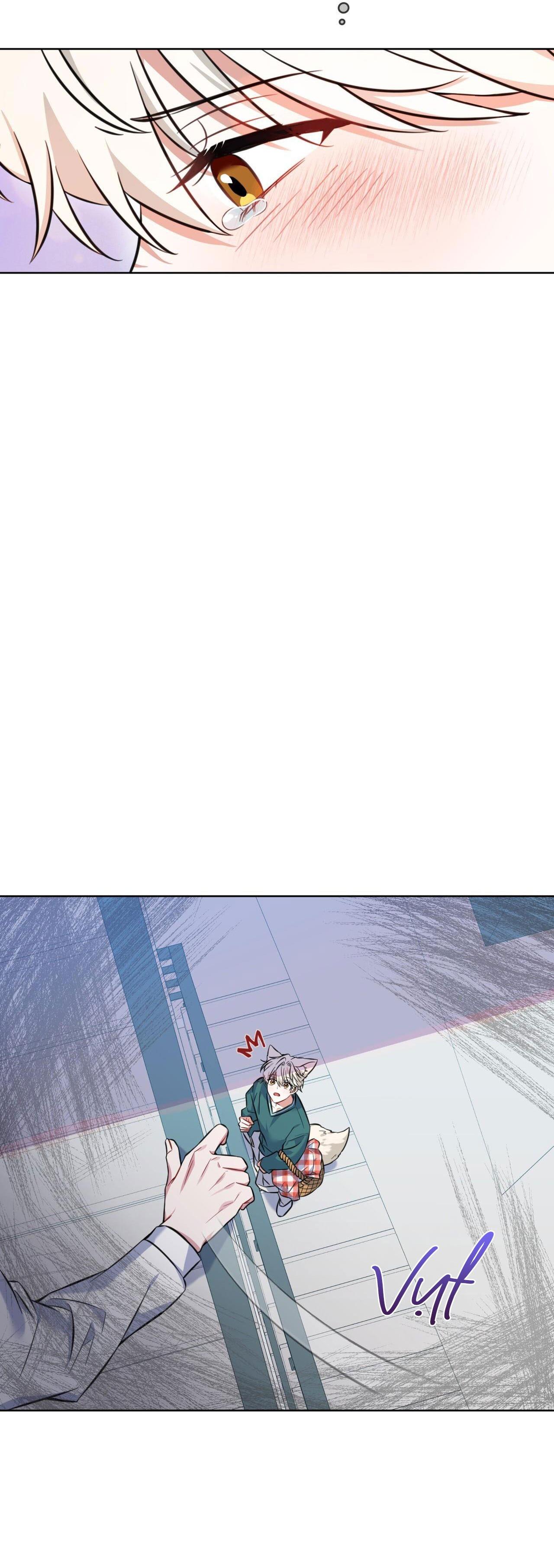 |DROP| Tiệm đồ uống của cáo Flynn - Chap 2