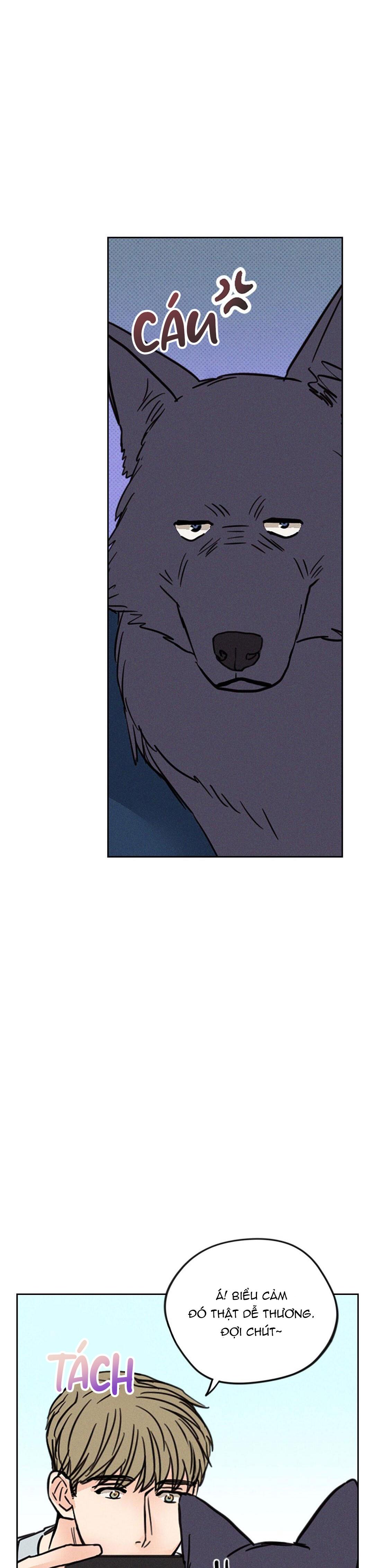 KHI TRĂNG TRÒN MỌC - Chap 5