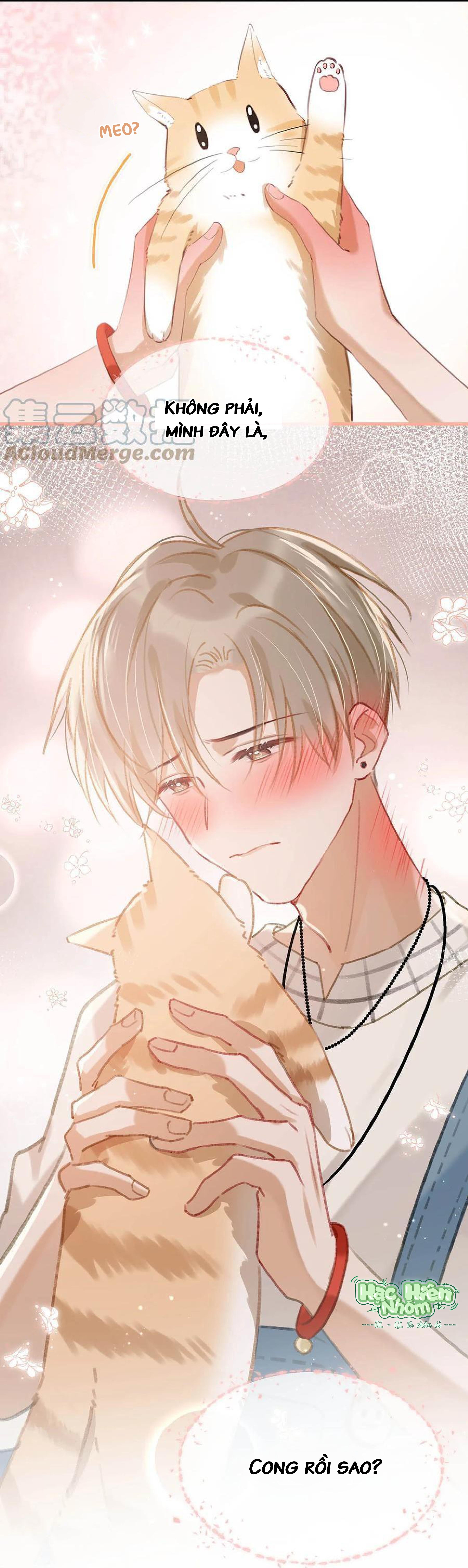 Tôi và đối tác của tôi [DROP] - Chap 52