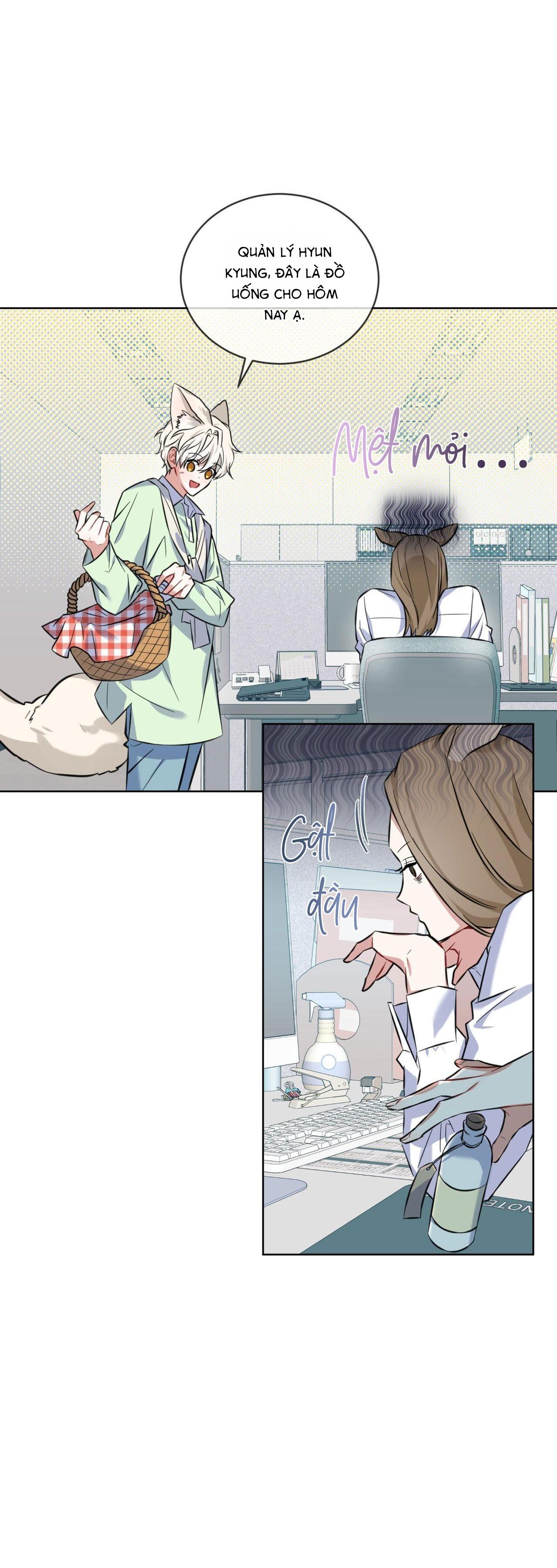 |DROP| Tiệm đồ uống của cáo Flynn - Chap 1