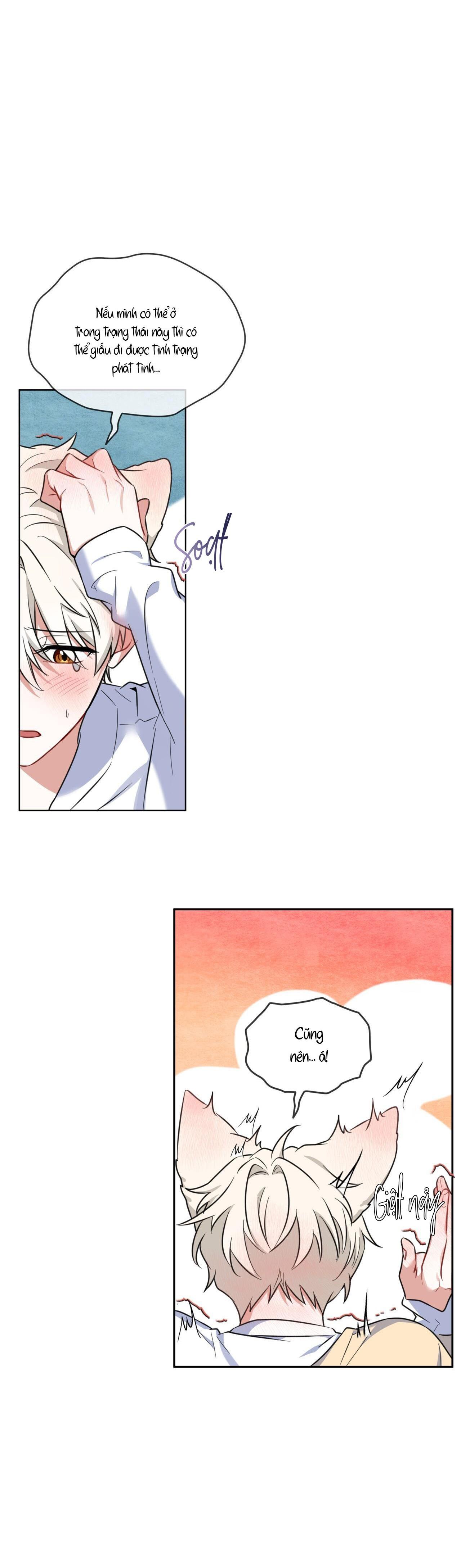 |DROP| Tiệm đồ uống của cáo Flynn - Chap 2