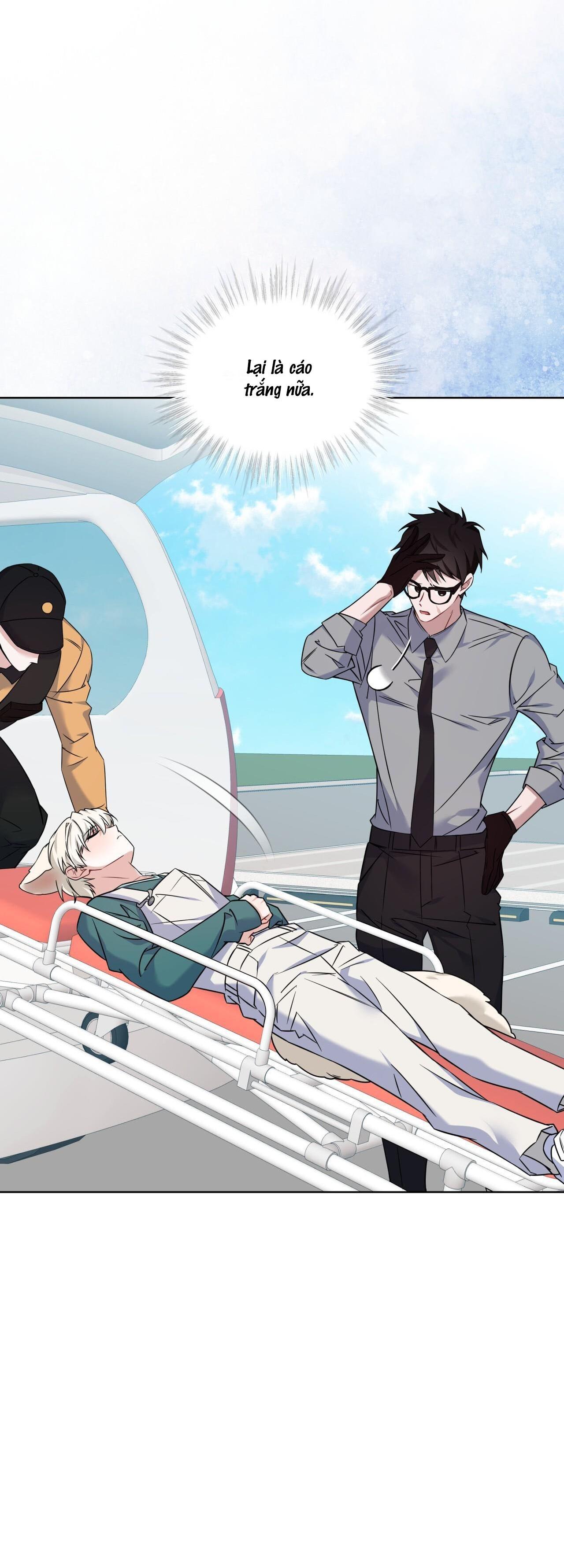 |DROP| Tiệm đồ uống của cáo Flynn - Chap 5