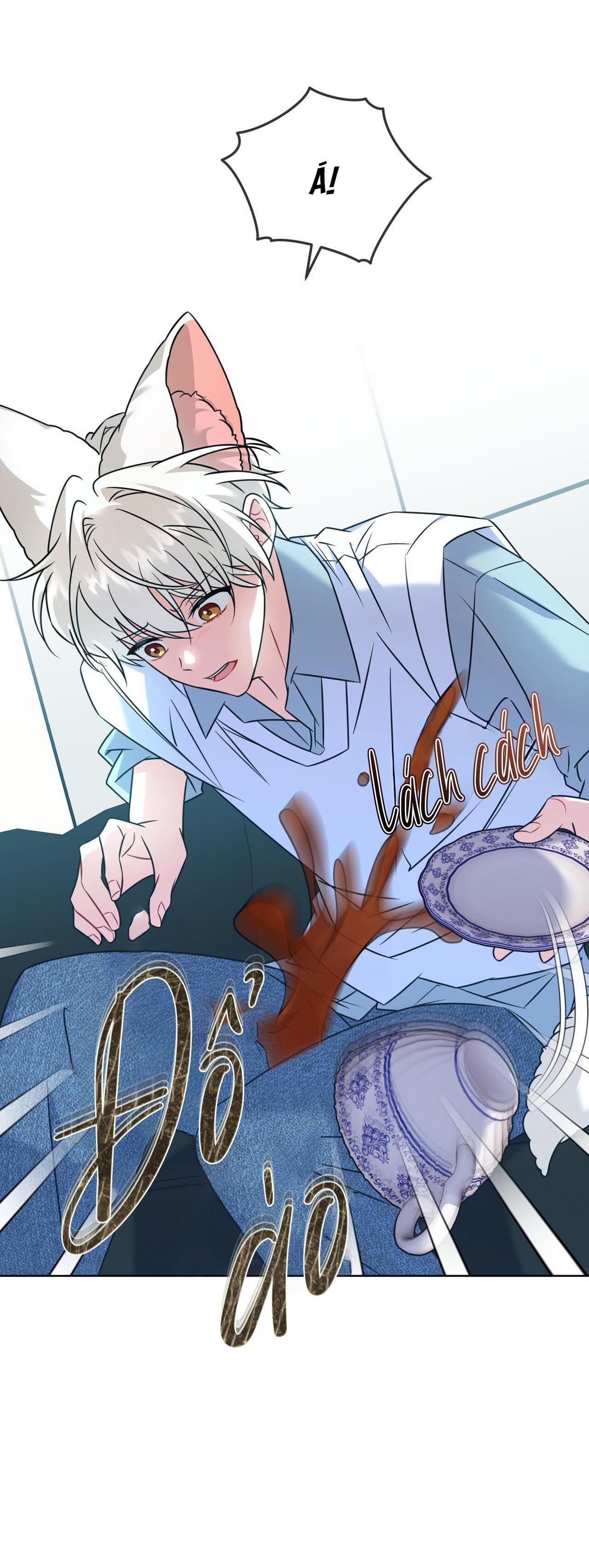 |DROP| Tiệm đồ uống của cáo Flynn - Chap 18