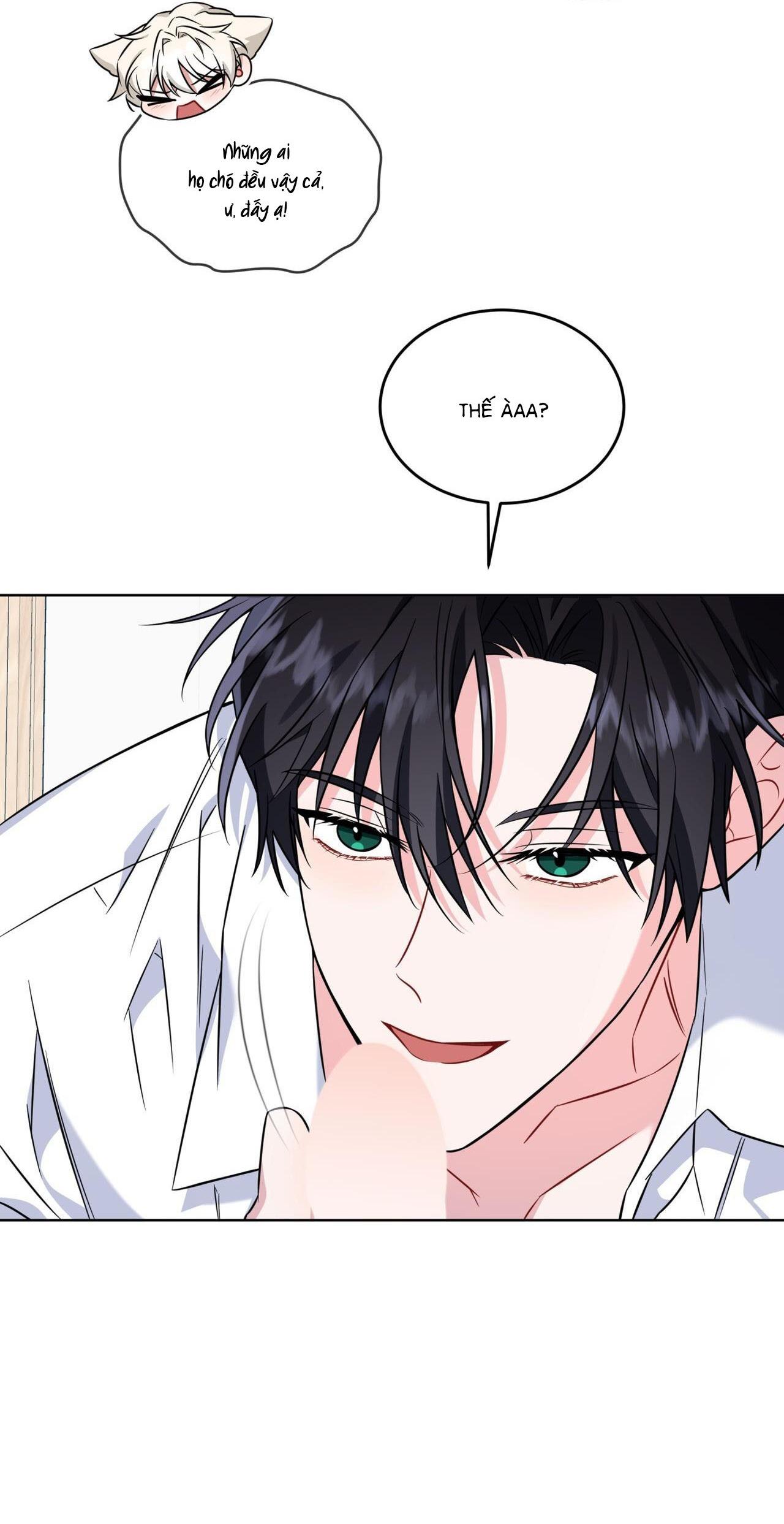 |DROP| Tiệm đồ uống của cáo Flynn - Chap 8