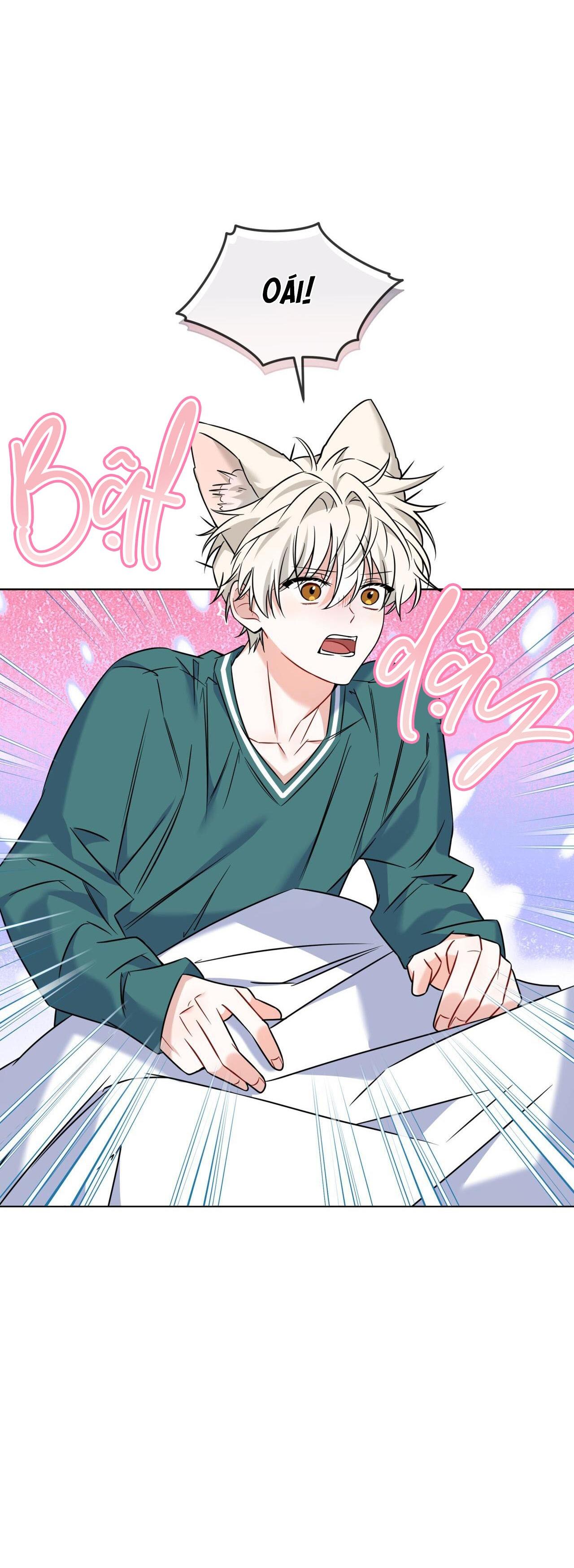 |DROP| Tiệm đồ uống của cáo Flynn - Chap 6