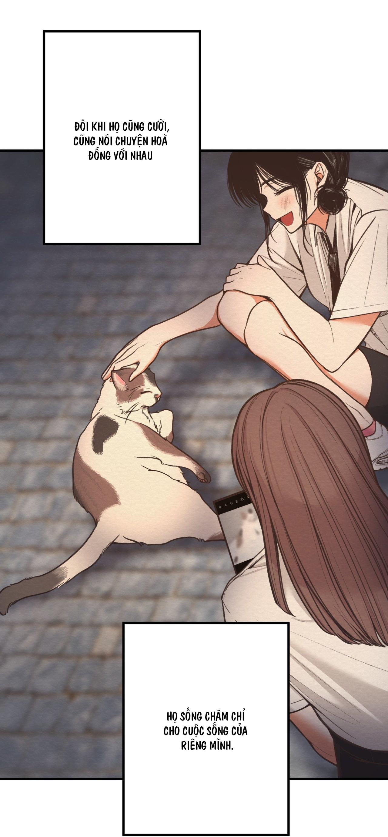 DEVIL ON TOP - Chap 8