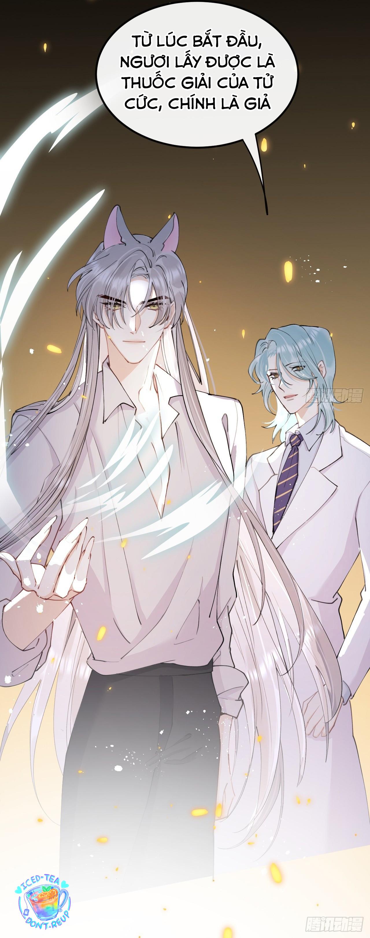 Lang Sói Thượng Khẩu - Chap 81