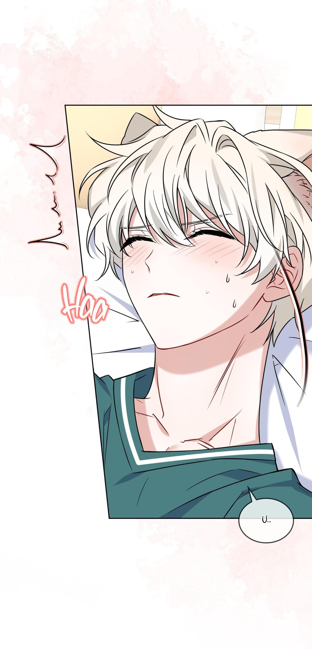 |DROP| Tiệm đồ uống của cáo Flynn - Chap 6