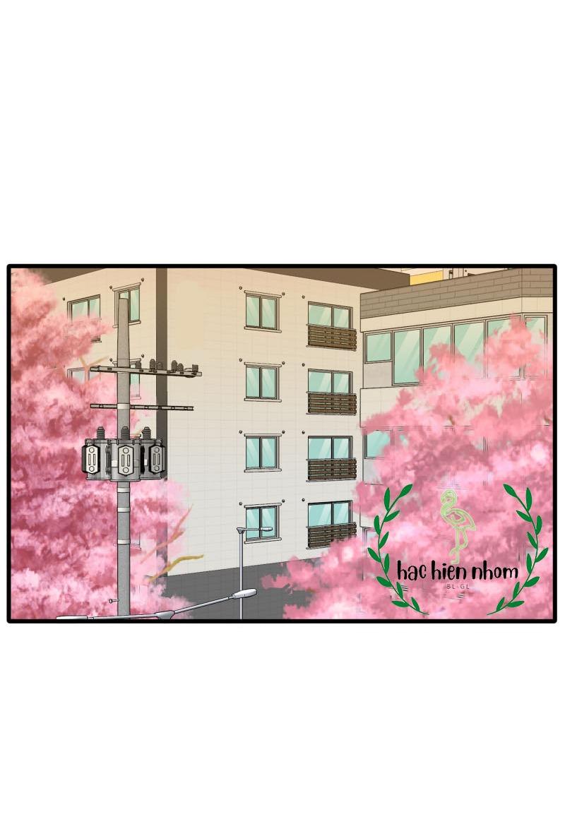 Truyện Ngôn Nhưng Không Ngôn Lắm - Chap 91