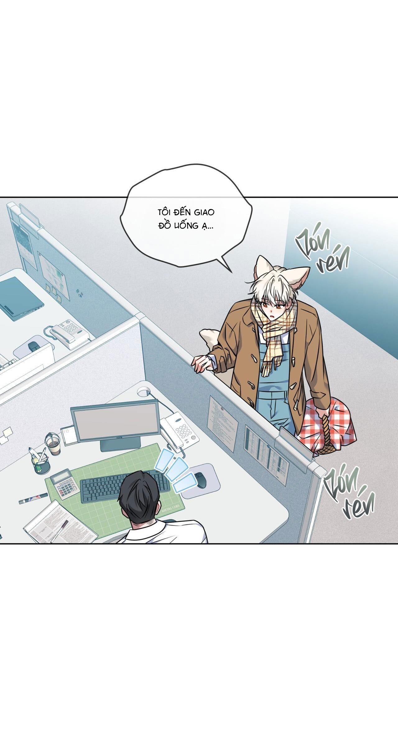 |DROP| Tiệm đồ uống của cáo Flynn - Chap 11