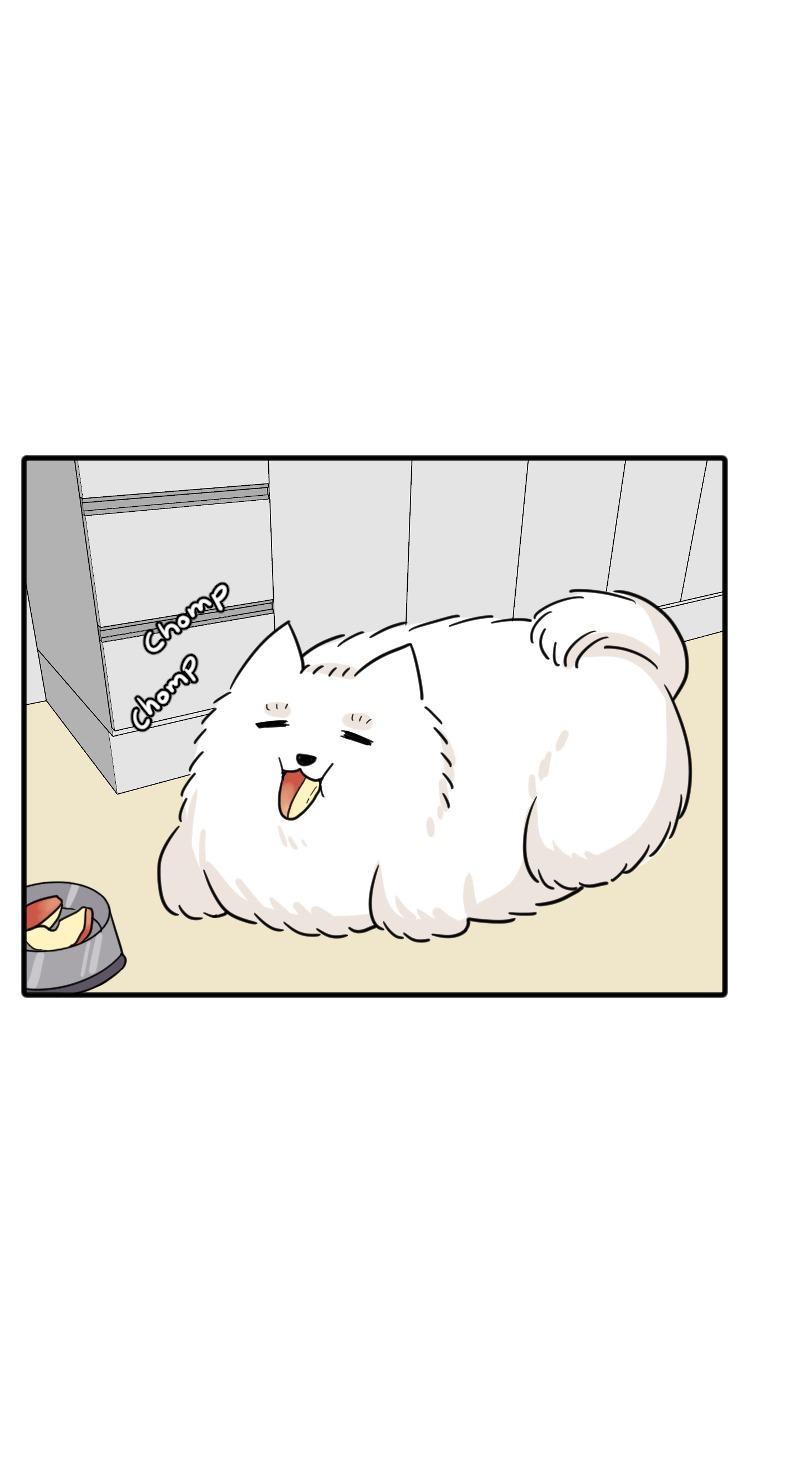 Truyện Ngôn Nhưng Không Ngôn Lắm - Chap 68