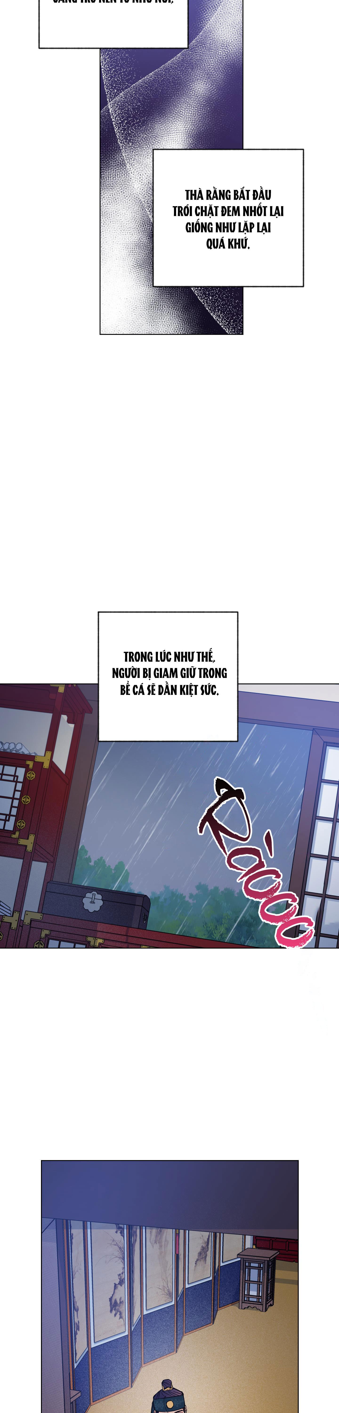 BÌNH MINH CỦA RỒNG - Chap 49