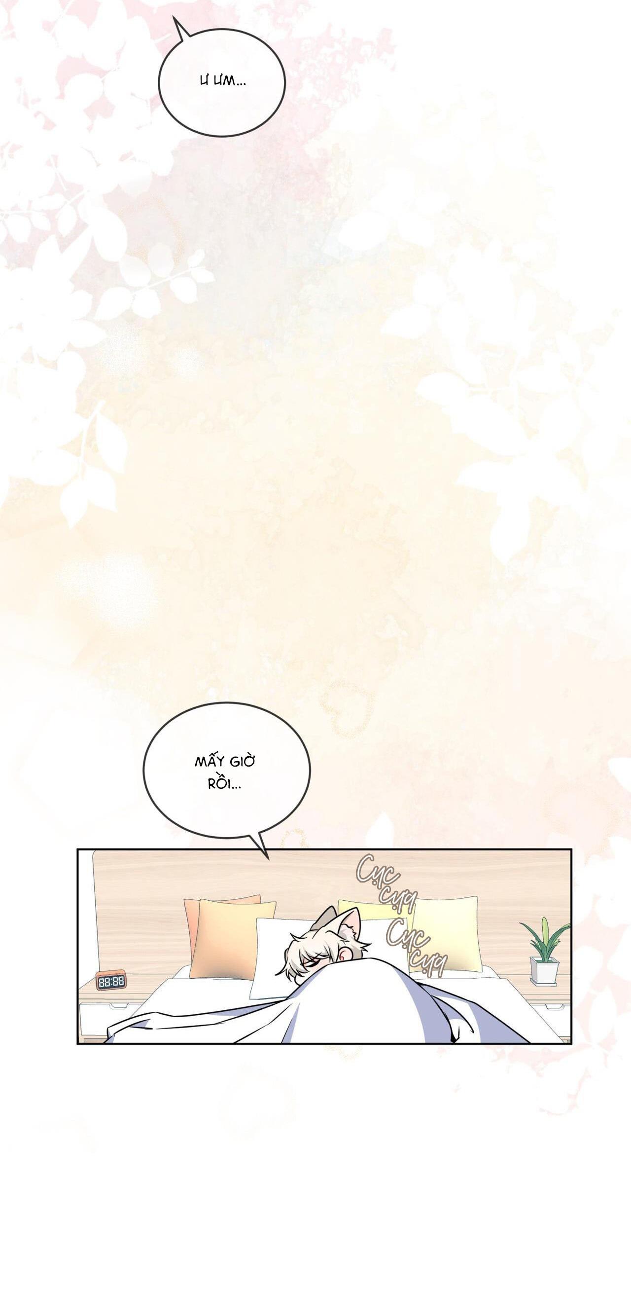 |DROP| Tiệm đồ uống của cáo Flynn - Chap 6