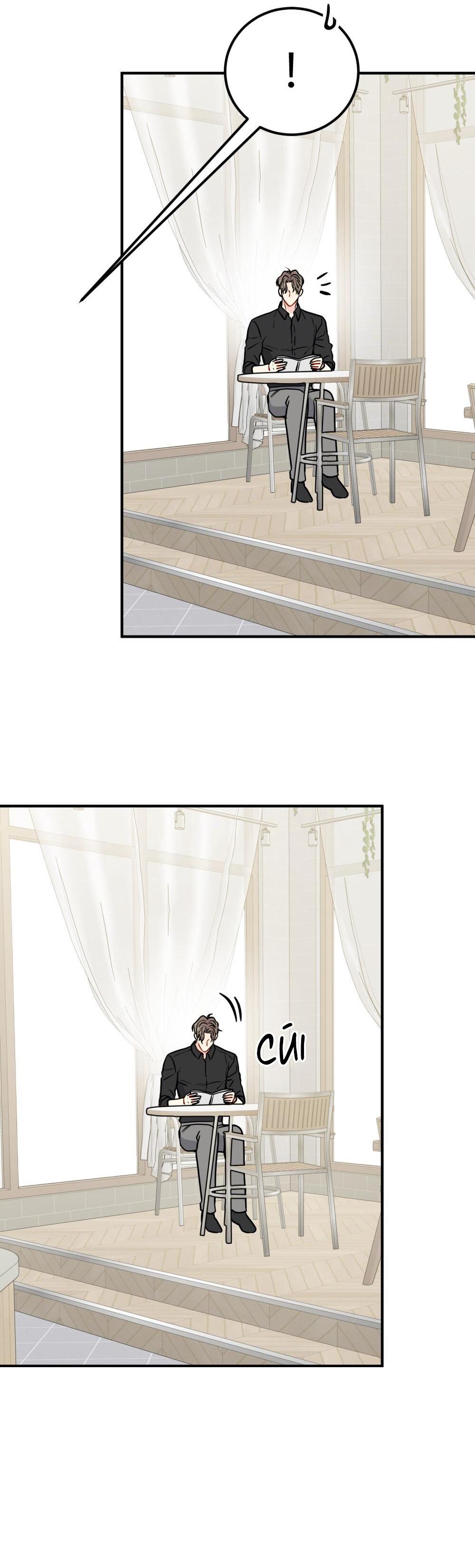 CẬU KHÔNG PHẢI LÀ GU CỦA TÔI - Chap 52