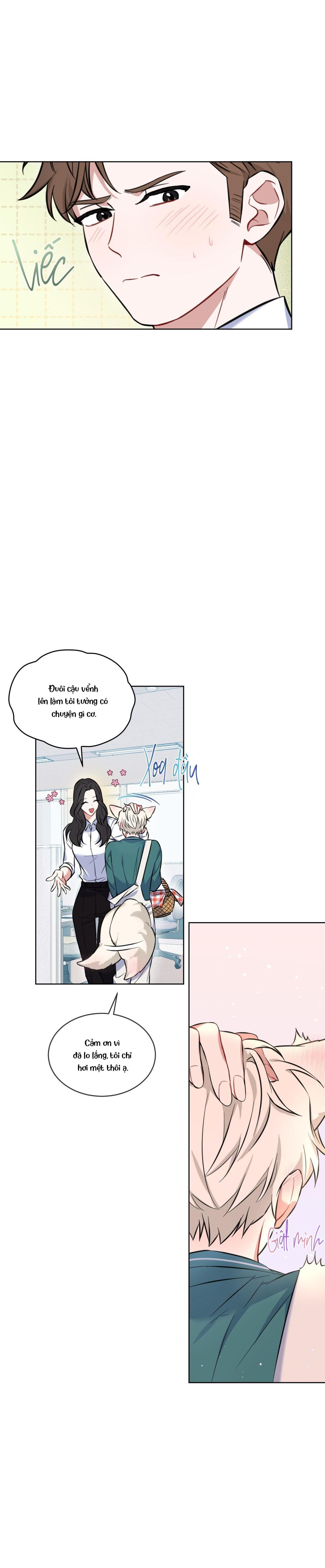 |DROP| Tiệm đồ uống của cáo Flynn - Chap 2