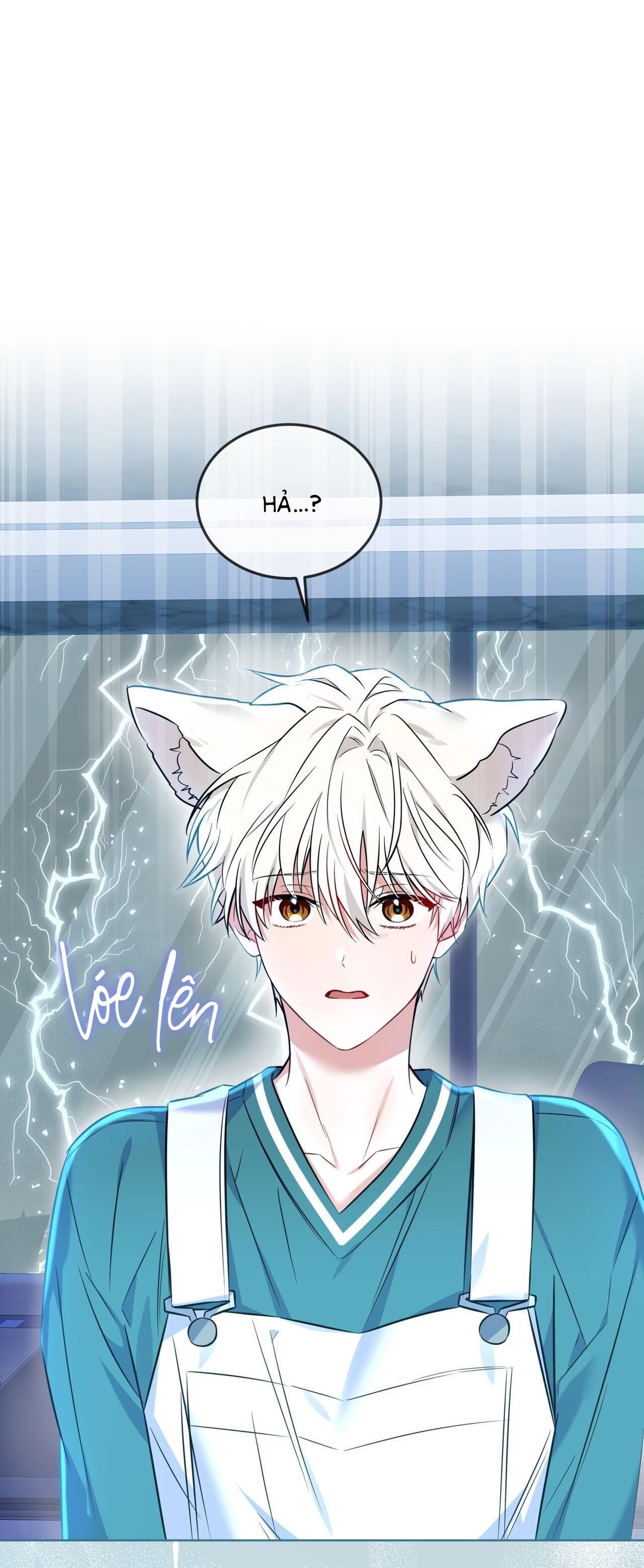 |DROP| Tiệm đồ uống của cáo Flynn - Chap 4