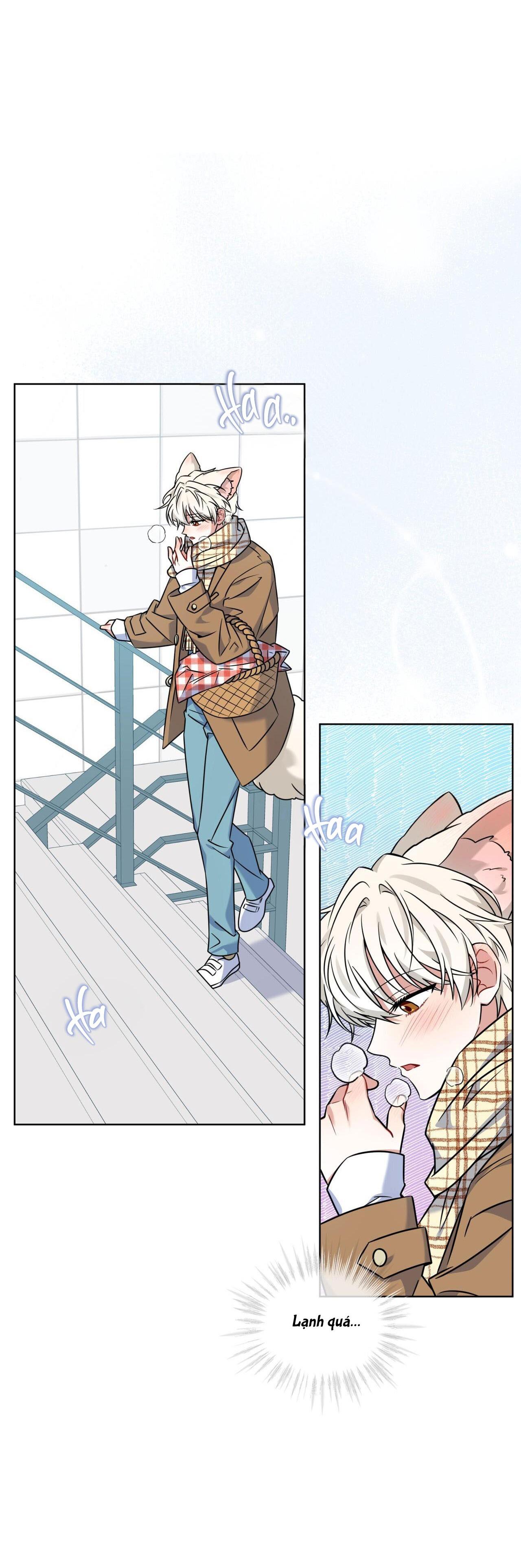 |DROP| Tiệm đồ uống của cáo Flynn - Chap 11