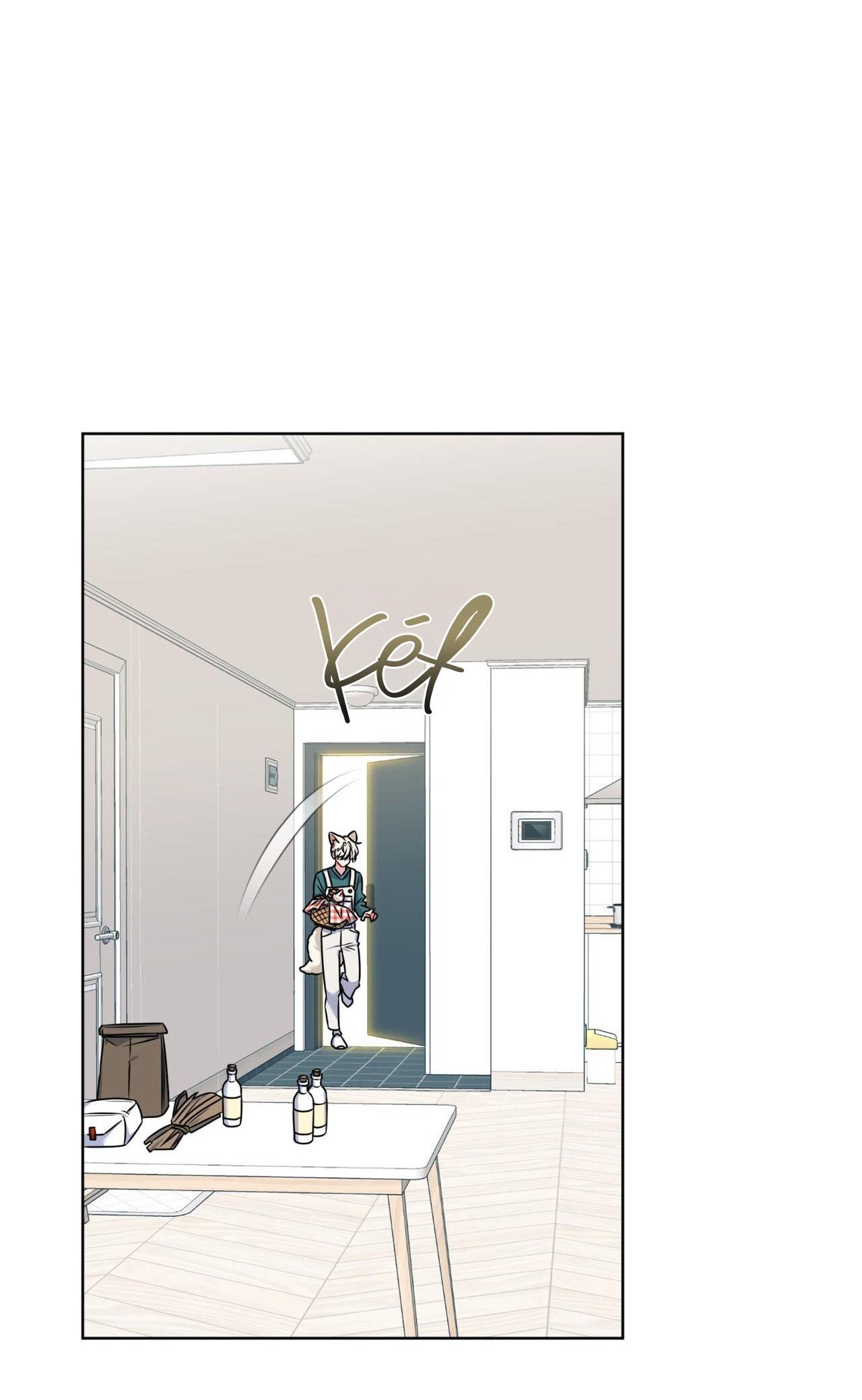 |DROP| Tiệm đồ uống của cáo Flynn - Chap 6