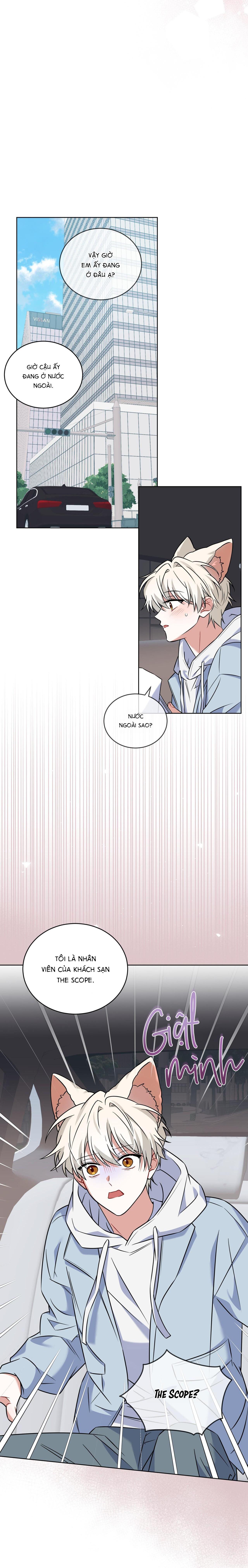 |DROP| Tiệm đồ uống của cáo Flynn - Chap 13