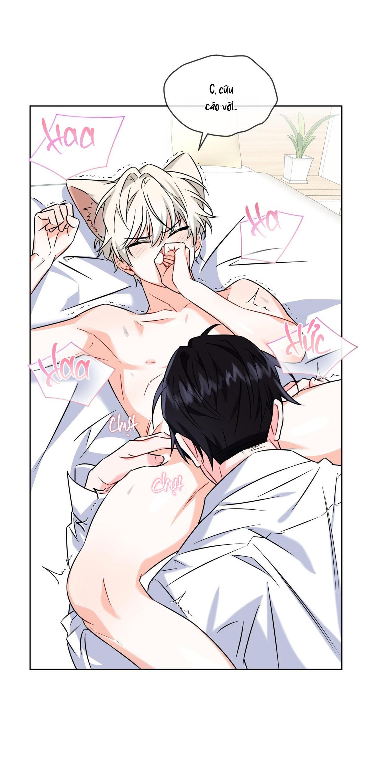 |DROP| Tiệm đồ uống của cáo Flynn - Chap 8