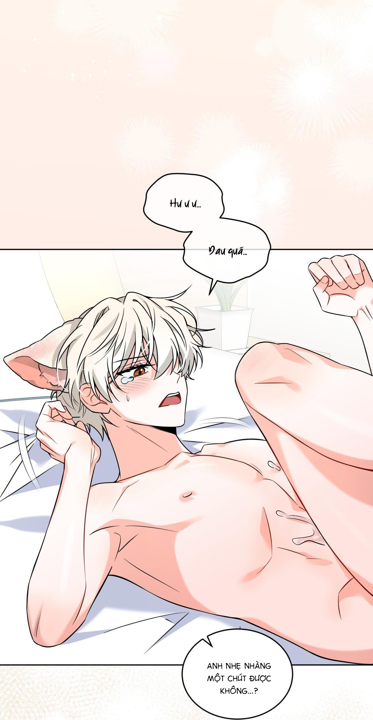 |DROP| Tiệm đồ uống của cáo Flynn - Chap 9