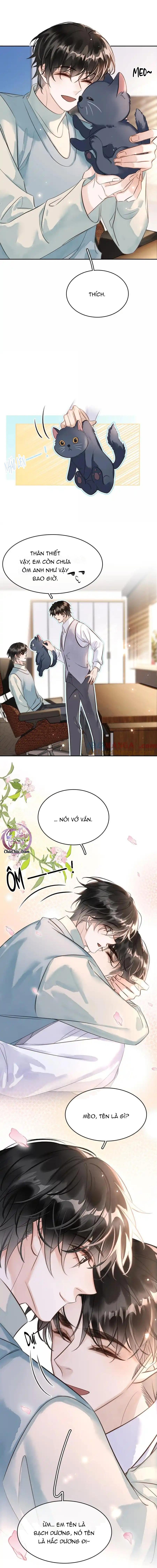 Không Làm Trai Bao! - Chap 160