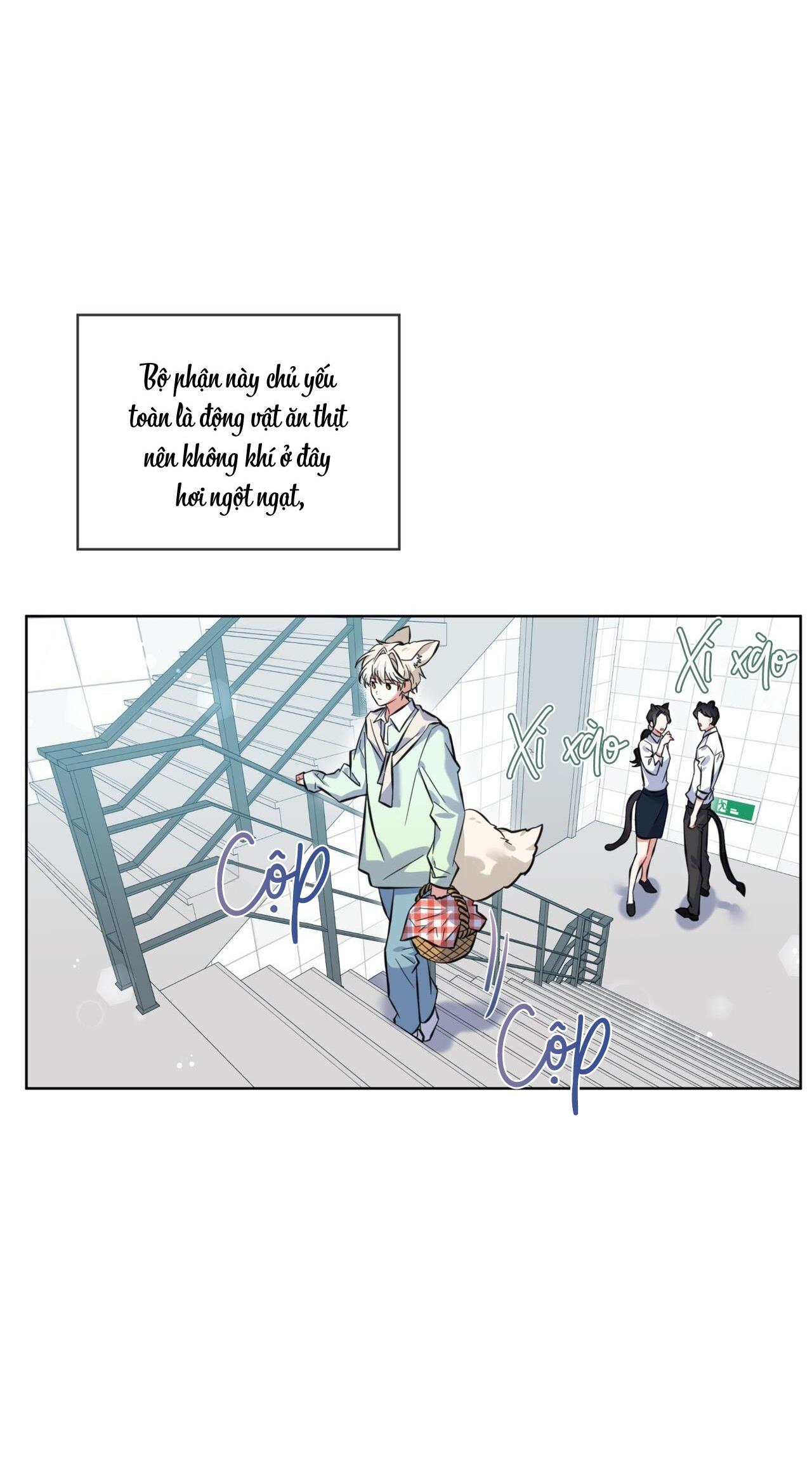 |DROP| Tiệm đồ uống của cáo Flynn - Chap 1