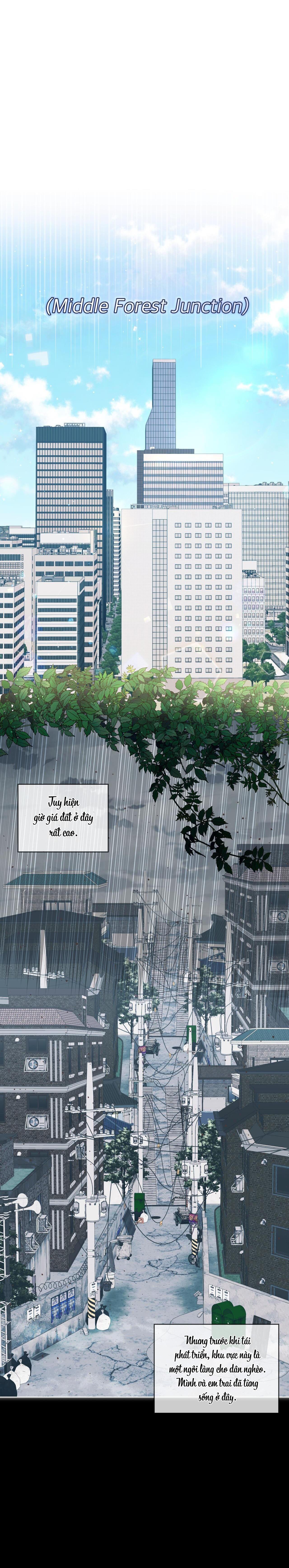 |DROP| Tiệm đồ uống của cáo Flynn - Chap 1