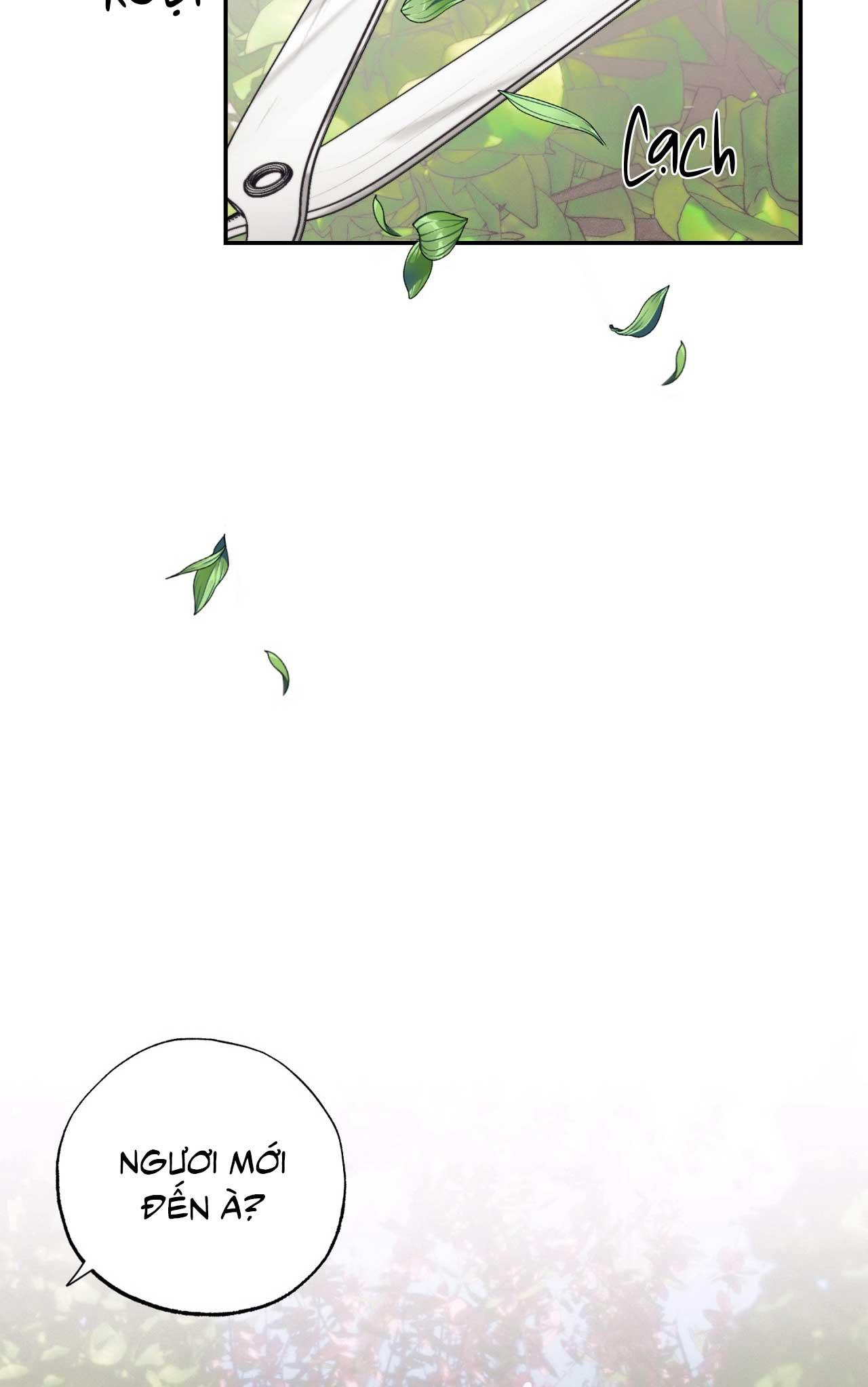 KHU VƯỜN CỦA ESTHER - Chap 0