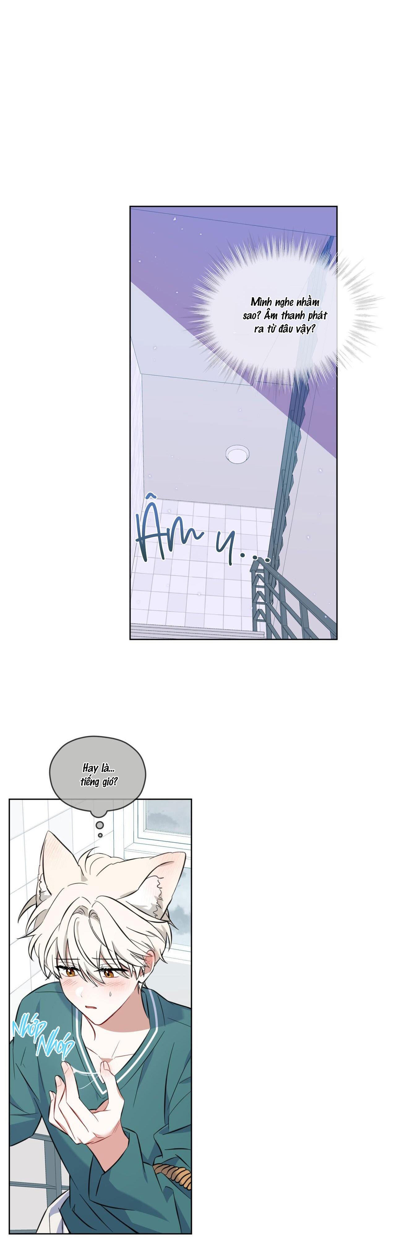 |DROP| Tiệm đồ uống của cáo Flynn - Chap 2