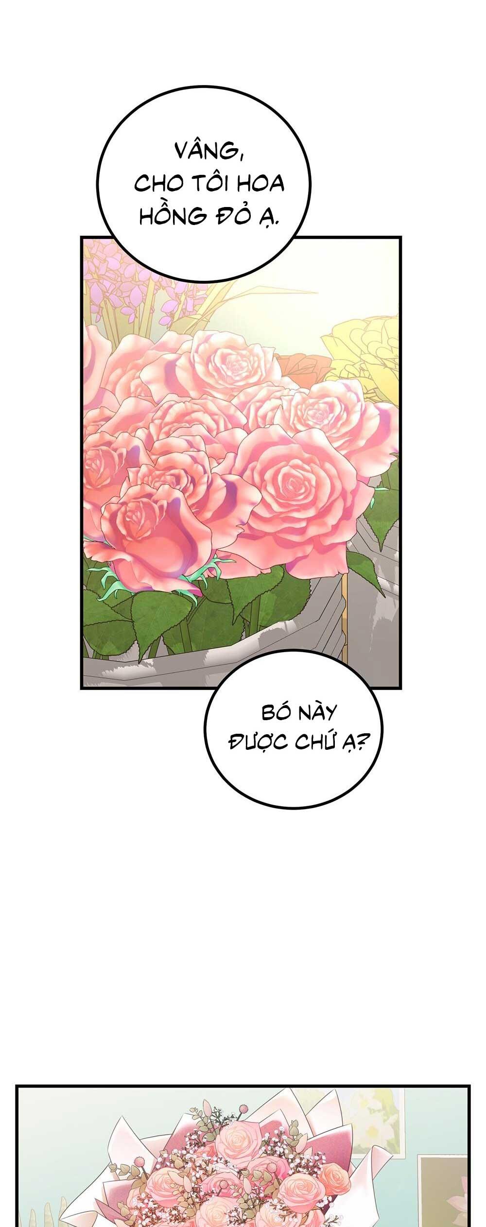 CẬU KHÔNG PHẢI LÀ GU CỦA TÔI - Chap 29