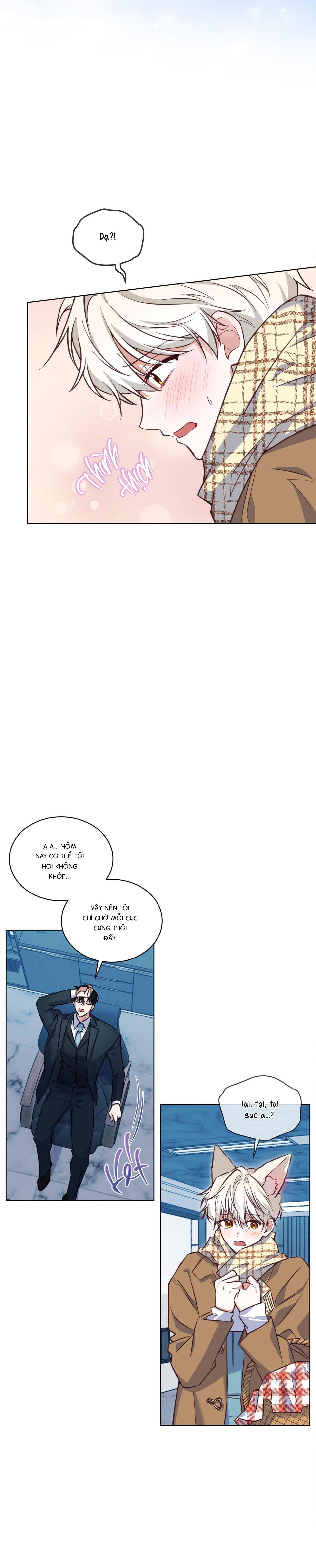 |DROP| Tiệm đồ uống của cáo Flynn - Chap 0